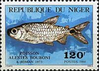 Silverside (Alestes bouboni)