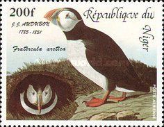 Atlantic Puffin (Fratercula arctica)