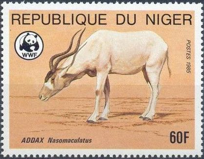 Addax (Addax nasomaculatus)