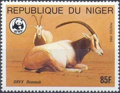 Scimitar Oryx (Oryx dammah)
