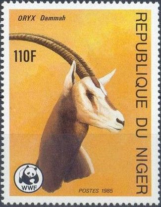 Scimitar Oryx (Oryx dammah)