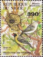 Red-billed Quelea (Quelea quelea)