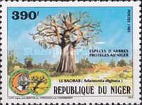 Protected species of trees in Niger - Adansonia digitata