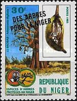 Campaign for reforestation