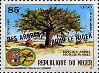 Campaign for reforestation