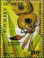 Potter Wasp (Delta sp.)