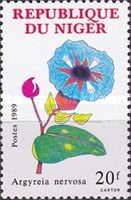 Flowering plants and butterflies - Argyreia nervosa