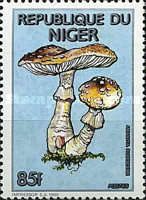 Amanita rubescens