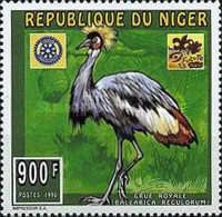 Black crowned crane (Balearica pavonina)