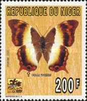 Ussher's Palla (Palla ussheri)