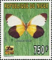 Western Dotted Border (Mylothris chloris)
