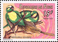 Rose-ringed Parakeet (Psittacula krameri)