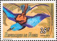 Abyssinian Roller (Coracias abyssinicus)