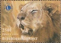 Lion (Panthera leo)