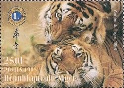 Tiger (Panthera tigris) Inscribed "Year of the Tiger"