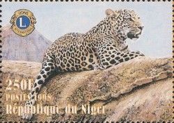 Leopard (Panthera pardus)