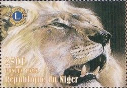 Lion (Panthera leo)