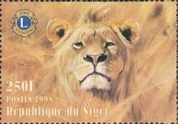 Lion (Panthera leo)