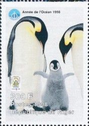 Couple of Emperor Penguins with Chick