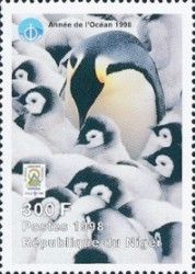 Emperor Penguin in a Creche of Chicks