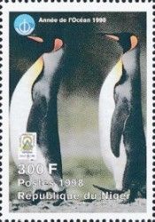 Two King Penguins