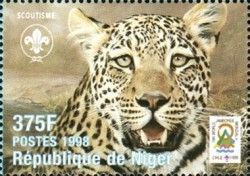 Leopard