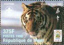 Tiger Inscribed "Year of the Tiger"