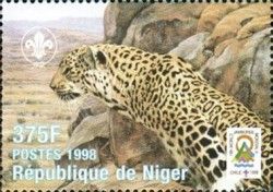 Leopard (Panthera pardus)