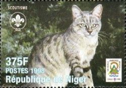 Wildcat Striped Cat
