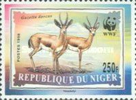 WWF Dorcas Gazelle (Gazella dorcas)
