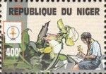 Identifying a Flower from a Book
