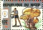 Mushroom