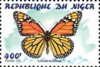 Danaus plexippus