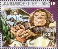 Ham the Chimpanzee