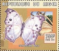 Nymphalidae perle