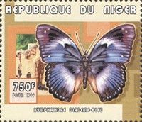 Nymphalidae diademe-bleu