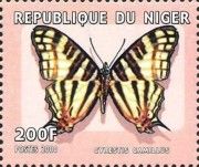 Cyrestis camillus