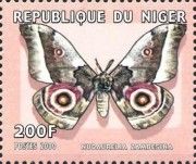 Nudaurelia zambesina