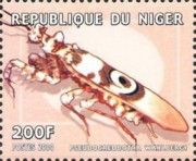 Pseudocreobotra wahlbergi