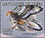 Archaeopteryx lithografica