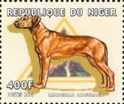 Rhodesian Ridgeback