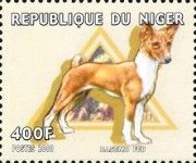 Basenji.