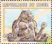 Proconsul africanus