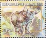 Black rhinoceros.