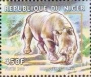 White rhinoceros.