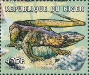 Varan du Nil.