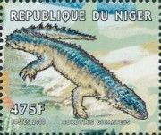 Giant Girdled Lizard (Cordylus giganteus)