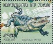 Nile crocodile.