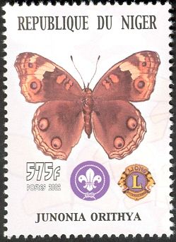 Blue Pansy (Junonia orithya)
