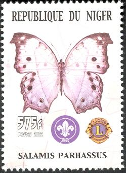 Forest Mother-of-pearl (Salamis parhassus)